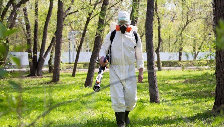 Уничтожение комаров в Астрахани